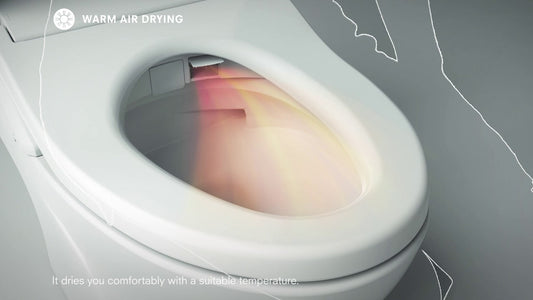 Say Goodbye to Toilet Paper: Why Bidet Dryers Are a Game-Changer