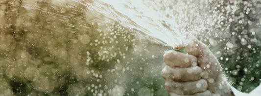 Enema Washes in Bidets: Are They as Effective as Traditional Enemas?