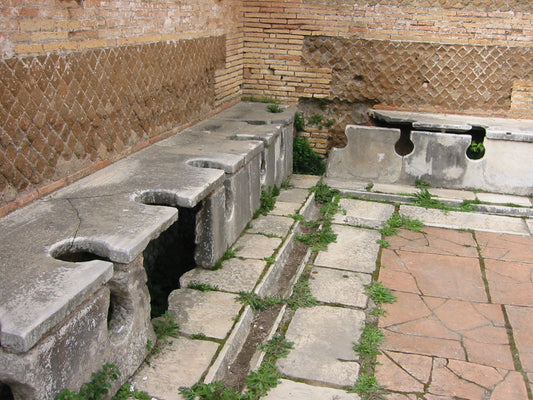 From Chamber Pots to High-Tech Thrones: A Journey Through the History of Toilets