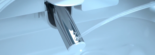 Bidet Water Filters - Worth it?