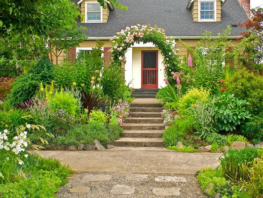 Bidets and Septic Systems: A Cleaner Bathroom and a Healthier Home
