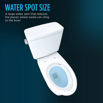 TOTO MW7863084CEFG#01 Drake Transitional Washlet+ 1.28 GPF Elongated Two-Piece Toilet with Washlet C5 Bidet Seat