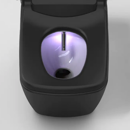 VOVO TCB-090SA Integrated Smart Bidet Toilet with Auto Open & Close Lid - Matte Black